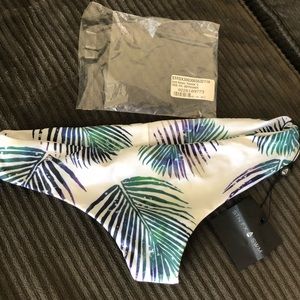 Stone fox swim